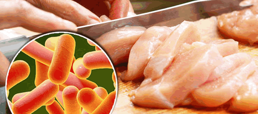 Persona manipulando carne de pollo con imagen insertada de la bacteria salmonella.