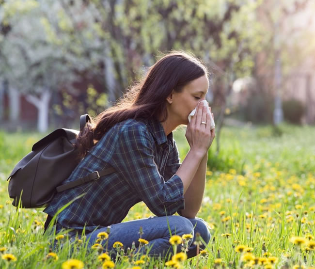 Los virus respiratorios disminuyen su circulacipon, semana 41 de 2019