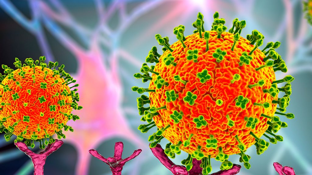 virus Langya