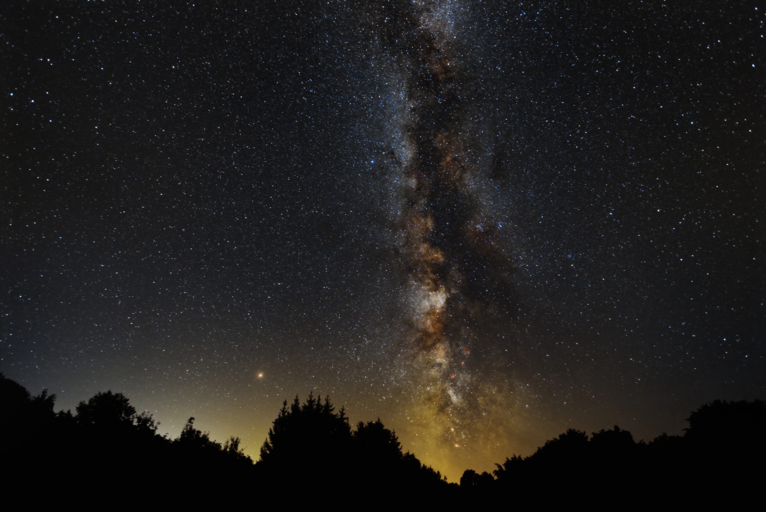 Vía Láctea sobre la silueta de un bosque de noche